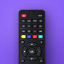 Universal TV Remote Controller