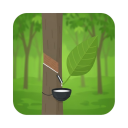 Kottayam District Places