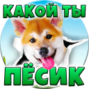 Тест: Какой ты Пёсик?