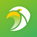 Scooper News: Local To Global