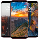 Aerial View Wallpaper