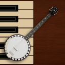 Professional Banjo