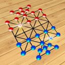 Solah Goti -  Bead Puzzle