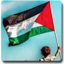 Palestine Flag Wallpapers