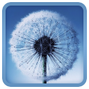 Galaxy S3 Live Wallpaper