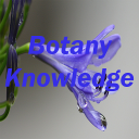 Botany Knowledge Quiz
