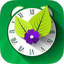 Vegetable Garden - Yum Garden