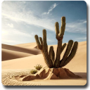 Desert Wallpapers