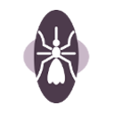 Malaria Case-based Reporting