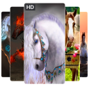 Horse Wallpaper HD 4K Horse backgrounds 2019