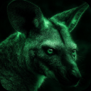 Night Vision Camera–Night Mode