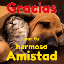 Imagenes Bonitas de Amistad