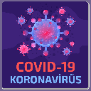 Koronavirüs