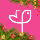 My Global Flowers Delivery