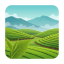 Idukki District Places