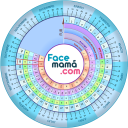 Pregnancy Weeks Calculator