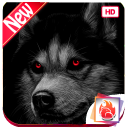 Husky Dog Wallpapers Siberian Husky Dog background