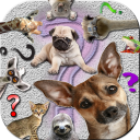 Ask Funny Animals 2023