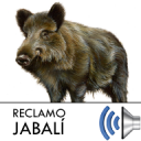 Jabali Calls