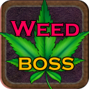 Weed Boss - Run A Ganja Farm & Be Firm Tycoon Inc